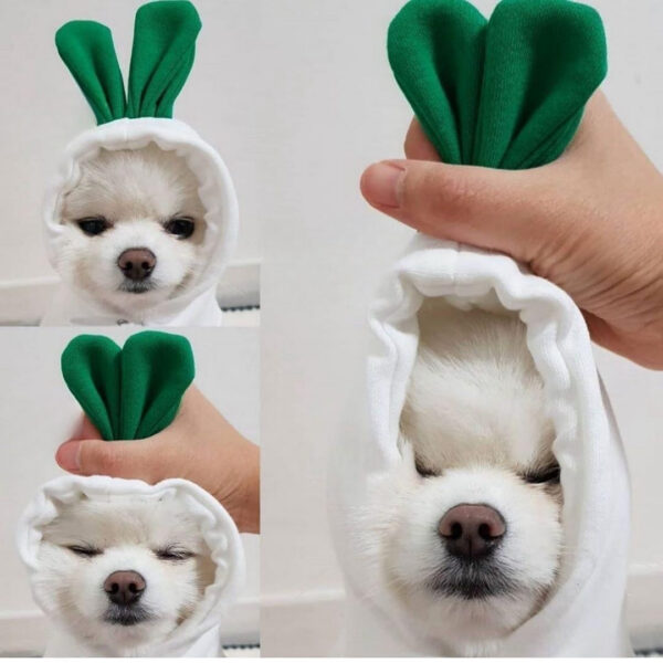 Cute Fruit Dog Clothes Hoodies Warm Fleece Pet Clothing Cat Costume Coat for Puppy Small Medium Dogs Cats