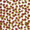 BLEUM CADE 12Pcs 98.4Ft Flower Garland Artificial Rose Vines for Bedroom, Cute Fake Hanging Flower Vines Floral Garland Decorations for Wedding Party Wall Room Decor Aesthetic