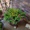 939e742271f4a27a 12 Bundles Outdoor Artificial Fake Flowers UV Resistant No Fade Boxwood Faux Plastic Shrubs Plants for Garden Patio Porch Window Box Home Wedding Farmhouse Hanging Décor