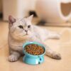Y YHY Raised Cat Food Bowl Set, Ceramic, Tilted Elevated Bowls, 2 Bowls, 3.6 in & 3 in, White