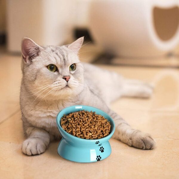 Y YHY Raised Cat Food Bowl Set, Ceramic, Tilted Elevated Bowls, 2 Bowls, 3.6 in & 3 in, White