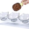 Raised Cat Bowl with Stand, 15° Tilted Cat Bowls for Kittens Elevated Cat Bowl Anti Vomiting Double Cat Bowls Plastic Transparent Cat Feeding Bowl