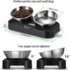 9662ba8ca771edf5 Cat Bowls - Elevated Cat Food Bowls, Anti Vomiting Cat Bowl Set, Stainless Steel Cat Bowls,Cat Bowls for Food and Water, Raised Cat Bowls for Indoor Cats, Orthopedic Cat Bowl