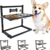 SHAINFUN Elevated Dog Bowls for Medium Dogs and Cats - Raised Cat or Dog Bowl Stand with Adjustable Height and Two Stainless Steel Food Bowls - Ideal for Medium and Small Dogs and Cats.