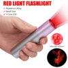 Penlight One Mode Red Light Flashlight for Camping Hiking Animal Protecting Beekeeping Detecting Aviation Night Vision
