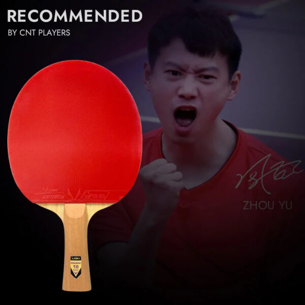 97bb0b39342f4fd7 LOKI DRAGON 10 STAR Table Tennis Racket Professional 5 Wood 2 ALC Ping Pong Paddle Bat Carbon Blade with FH RXTON 9 & BH RXTON 7