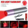 Penlight One Mode Red Light Flashlight for Camping Hiking Animal Protecting Beekeeping Detecting Aviation Night Vision