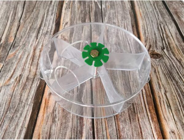 Bird Creative Foraging System Wheel Seed Food Ball Rotate Training Toy for Small and Medium Parrots Parakeet Cockatiel Conure (Clear)