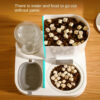Automatic and Feeding Device, Dog Basin, 2-in-1 Water Dispenser, Cat Bowl, Pet Supplies