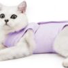 9aa0c46b88ab03cb Cat Recovery Suit for Male and Female Surgical Post Surgery Soft Cone Onesie Shirt Clothes Neuter Licking Protective Diapers Outfit Cover Kitten Spay Collar(M, Grey)