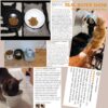 9aa631d4d9a492a2 TAMAYKIM Tilted Ceramic Raised Cat Bowls, 8 OZ Food and Water Bowls Set for Kitty, Porcelain Elevated Stress Free Feeding Pet Dish, Dishwasher and Microwave Safe, 2 Pack (White & Grey)