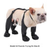 9af4ad7be050dda6 1set Waterproof Boots Small Puppy Medium Large Dogs Pet Booties Anti-Slip Dog Shoes Rain Snow