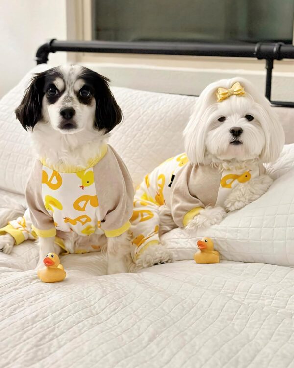 Duck Dog Pajamas, Cute Dog Clothes for Small Dogs Boy Girl, Pet Onesie Clothing, 100% Breathable Cotton, Yellow, Medium