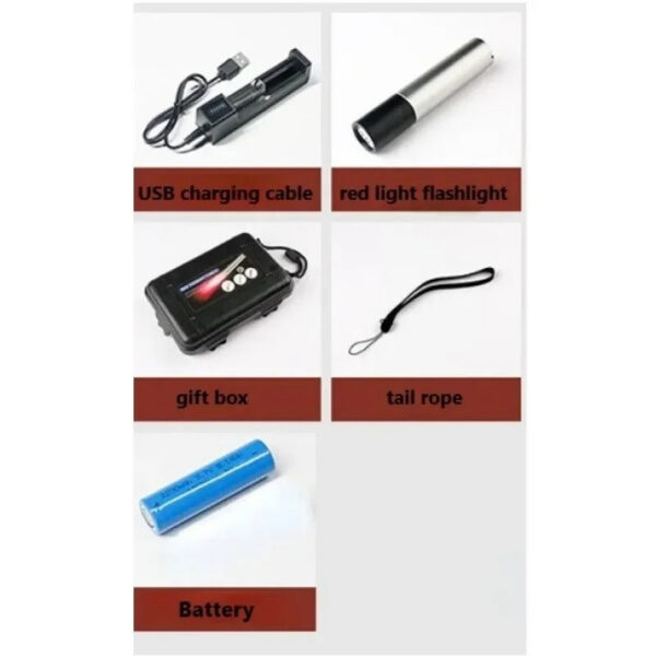 Portable Red Light Flashlight Relief Muscle Pain Infrared Lamp Led Therapy Skin Care Pet-friendly