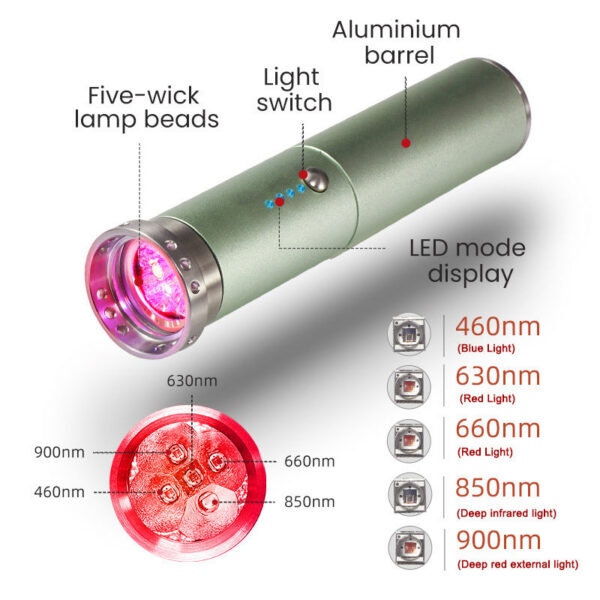 Professional Red Light Infrared Therapy Device Sore Canker Lip Handheld Oral Physiotherapy Wand Ear Nose Knee Health Pain Relief