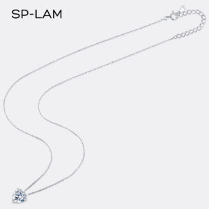 9c0148b222a952cc Delicate Sparkling Heart Moissanite Pendant Necklace Sterling Sier 1CT Lab Diamond Fine Jewelry For Women Wholesale