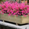 9c24d52a611eba9c Grunyia Artificial Flowers Outdoor UV Resistant Fake Plants Indoor Outside Hanging Planter Home Garden Decor, 10 Bundles (Pink)