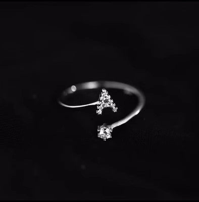 Fashion Sterling Sier 26 Letter Sparkling Diamond Zircon Open Index Finger Your Name Ring Birthday Party Jewelry