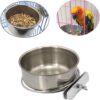 9f3737ba6d0bd562 PINVNBY Parrot Feeding Cups Birds Food Dish Stainless Steel Parrot Feeders Water Cage Bowls with Clamp Holder for Cockatiel Conure Budgies Parakeet Parrot Macaw Small Animal Chinchilla Pack of 2