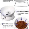 9f62c4c2ee2dcb27 Y YHY Cat Bowl Anti Vomiting, Raised Cat Food Bowls, Tilted Elevated Cat Bowl, Ceramic Pet Food Bowl for Flat Faced Cats, Small Dogs, Protect Pet's Spine, Dishwasher Safe