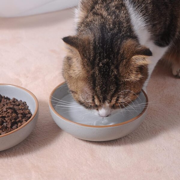 a0861eb7d12a0f55 Howise 5.3 in Ceramic Cat Bowls Set, Shallow Cat Food Bowl Small Pet Bowls Cat Dish for Food and Water, Green