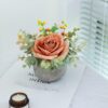 Artificial Flowers Kit with Pot, Combination of Fake Silk Orange Roses and Greenery,Small Plant Potted Decor for Offices,Bookshelf,Bedroom, Living Room,Party,Wedding Decorations…