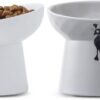 a10ce7c7f60549a7 TAMAYKIM Tilted Ceramic Raised Cat Bowls, 8 OZ Food and Water Bowls Set for Kitty, Porcelain Elevated Stress Free Feeding Pet Dish, Dishwasher and Microwave Safe, 2 Pack (White & Grey)
