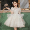 White Baby 2-12year old Kids for Party Wedding flower girl Sequins Children’s Pageant Gown Girls Dress