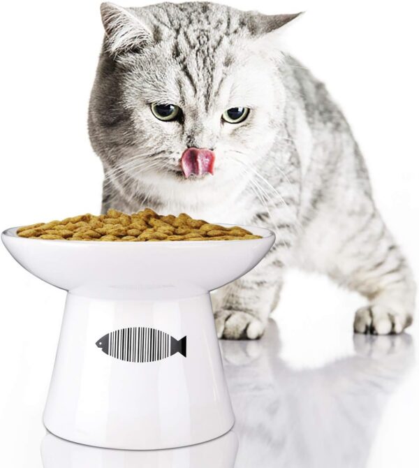 a34e2398a66fe6fd Yangbaga Cat Raised Food/Water Bowl for Elder Big Cats, Non-Skid 4.8x6.4in Premium Ceramic Cat Bowls with Stand, Sturdy and Anti-Fall… (White)