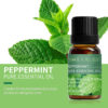 a45df88b04195a2d Essential Oils for Diffusers Lavender Eucalyptus Tea Tree Peppermint Rosemary Mint Bergamot Lemon Rose Pure Essential Oil 10ml