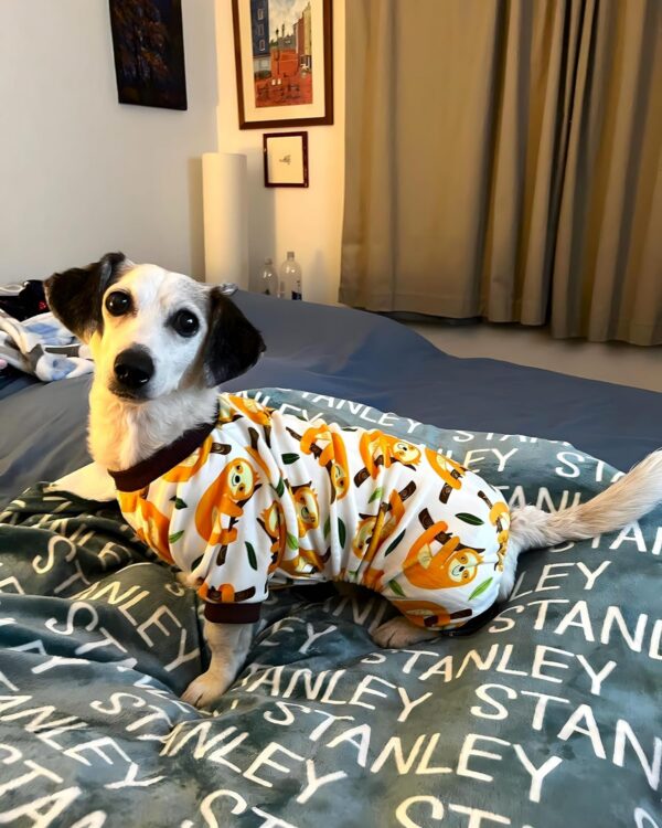 Cute Sloth Dog Pajamas, Dog Clothes for Small Dogs Boy Girl, Lightweight Velvet Pet Jumpsuit, Cat Onesie, White, Yellow, XXL