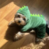 a4a05ace8e96c1c1 Warm Fleece Hoodie Dog Clothes for Small Dogs Winter Pet Clothing Puppy Cat Costume French Chihuahua Jacket