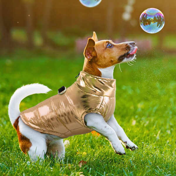 a4dd1d285c251ba0 Small Dogs Waterproof Clothes Puppy Pet Jacket Winter Warm Vest Dog Coat Clothing For Chihuahua French Bulldog