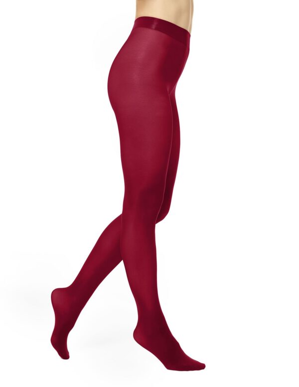 HUE womens Sheer to Waist Opaque Tight