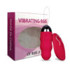 10 Speed Female Vibrator Wireless Remote Control Waterproof Silent Vibrating Egg USB Rechargeable Adult Toys