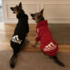 a8089dd2fcc6cf77 Winter Dog Clothes Adidog Sport Hoodies Sweatshirts Warm Coat Clothing for Small Medium Large Big Dogs Cat Pets Puppy Outfi