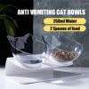 Raised Cat Bowl with Stand, 15° Tilted Cat Bowls for Kittens Elevated Cat Bowl Anti Vomiting Double Cat Bowls Plastic Transparent Cat Feeding Bowl