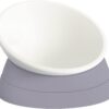 a8a0cdafb8b8fa5c 2Pcs Cat Bowls Elevated Cat Food Bowl Adjustable Cat Dish Anti-Slip and Anti-Noise Raised Cat Bowl Protecting Pet’s Spine Thickened Plastic Bowl Suitable for Indoor Cats, 17 Oz