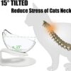 Raised Cat Bowl with Stand, 15° Tilted Cat Bowls for Kittens Elevated Cat Bowl Anti Vomiting Double Cat Bowls Plastic Transparent Cat Feeding Bowl