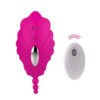 Wearable Butterfly Panties Wireless Vibrator for Women Female G Spot Clitoris Stimulator Love Egg Vagina Massager Adult Sex Toys