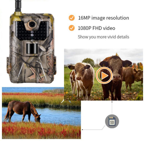 20MP 1080P Wildlife Trail Camera Photo Trap Night Vision 2G GSM SMS MMS P Cellular Hunting Cameras HC900M Surveillance