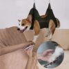 Pet Grooming Hammocks Nail Trimming Cat Beauty Hammock Anti Scratch Bite Dog Restraint Bathing Fixed Bag Pruning Tool Set