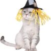 Namsan Holiday Pet Costume Cat Birthday Hat Small Dog Birthday Cake Hat Dog Birthday Party Supplies, Small