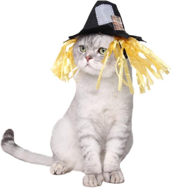 Namsan Holiday Pet Costume Cat Birthday Hat Small Dog Birthday Cake Hat Dog Birthday Party Supplies, Small