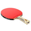 DHS 9 Star Table Tennis Racket Professional 5 Wood 2 ALC Offensive Ping Pong Racket with Hurricane Sticky Rubber