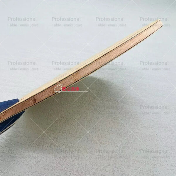adb7a0a88efd3f03 LOKI RXTON 5 Pro Province Table Tennis Blade Built-in Basalt Fiber Carbon 5 Wood 2 Carbon Ping Pong Racket Arc & Fast Attack