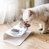 Raised Cat Bowl with Stand, 15° Tilted Cat Bowls for Kittens Elevated Cat Bowl Anti Vomiting Double Cat Bowls Plastic Transparent Cat Feeding Bowl