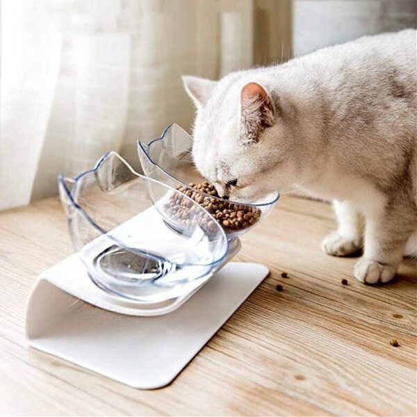 Raised Cat Bowl with Stand, 15° Tilted Cat Bowls for Kittens Elevated Cat Bowl Anti Vomiting Double Cat Bowls Plastic Transparent Cat Feeding Bowl