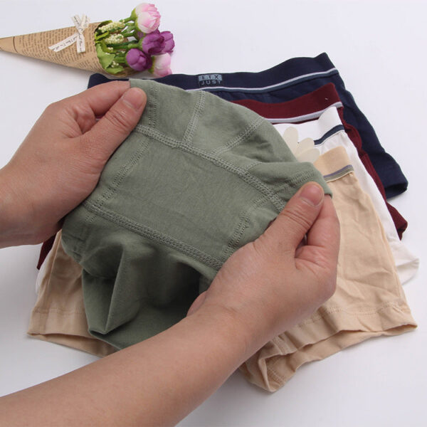 aebe7b5f4659ca17 Children Boys Cotton Boxer Shorts Children's Panties Kids Underwear For 2-16 years 5 pcs