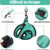 aec17689b8115317 Cat Harness and Leash Set for Walking Escape Proof, Kitten Adjustable Small Large Lightweight Soft Vest Harness and Leash(Medium, Green)